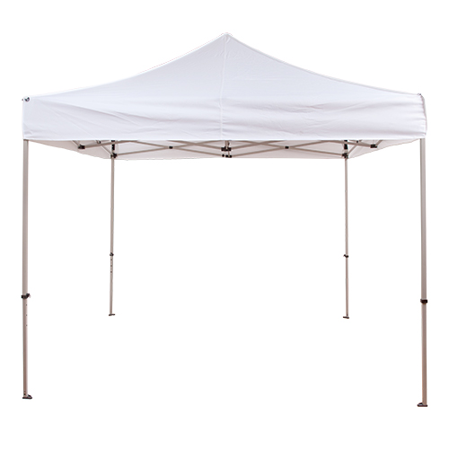 10 x 10 Canopy/ Tent